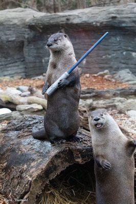  The Otter and His Friends - Một Câu Chuyện về Tình Bạn và Sự Thật Thắng!